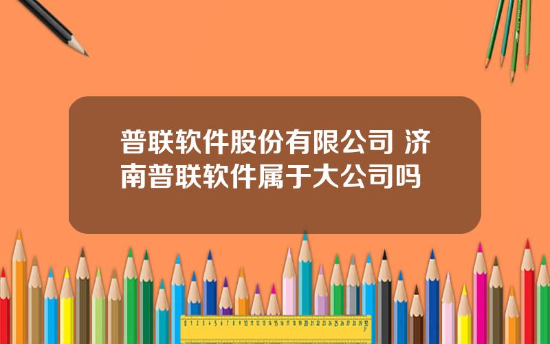 普联软件股份有限公司 济南普联软件属于大公司吗